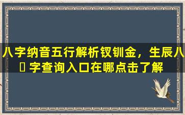 八字纳音五行解析钗钏金，生辰八 ☘ 字查询入口在哪点击了解 🕊 ！